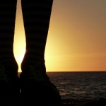 in the Sea 5